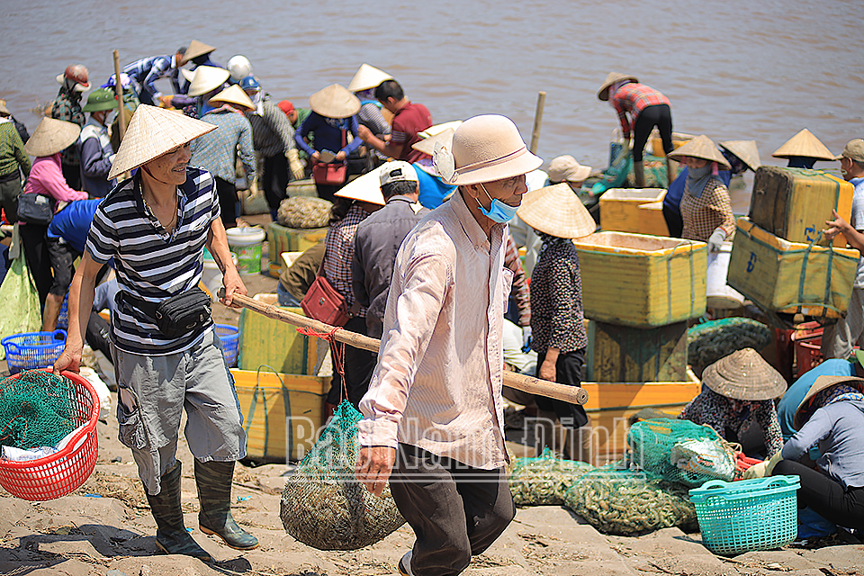 Niềm vui thuyền về.