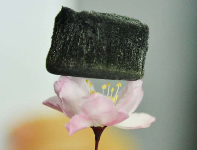 Một khối graphene aerogel có thể lơ lửng trên đám cỏ hay ngay cả trên đầu những bông hoa.

