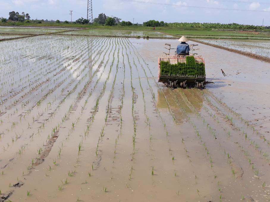 Kỹ thuật làm mạ khay cấy máy