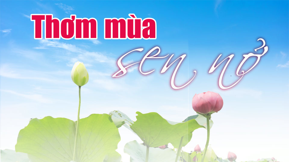 Thơm mùa sen nở