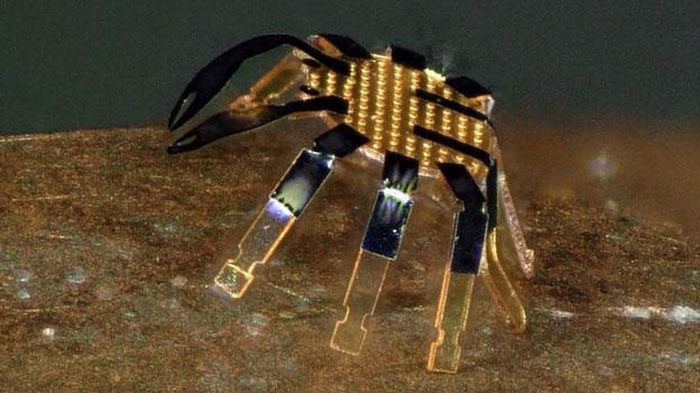 Siêu robot này được mô phỏng theo một con cua nhỏ, có thể đi bộ, bò, uốn cong, vặn vẹo và thậm chí là nhảy.


