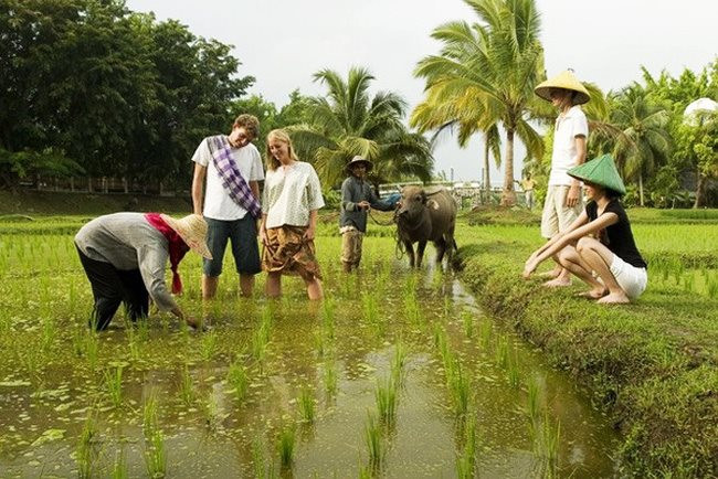 Quảng Ngãi: Du lịch đạt doanh thu 485 tỷ đồng