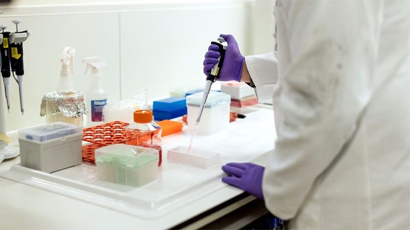 Nhà khoa học làm việc trong phòng thí nghiệm tại Trung tâm Nghiên cứu và Phát triển GSK tại Anh, ngày 21/3/2023. (Ảnh: Reuters)
