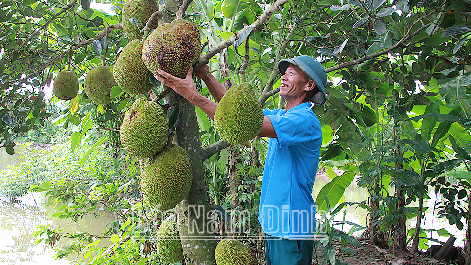 Làm giàu từ mô hình kinh tế tổng hợp