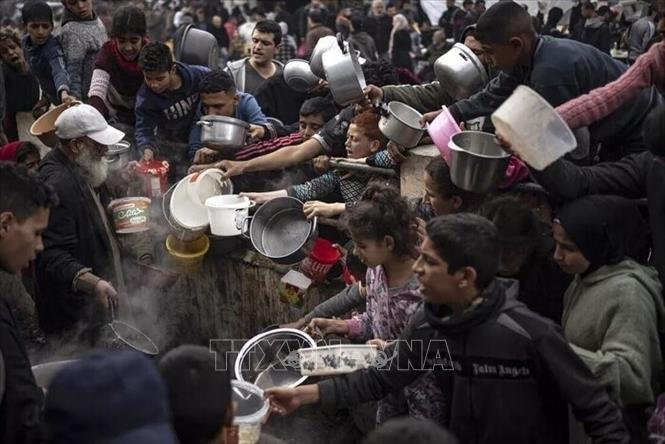 Chuyên gia LHQ báo động nạn đói đang diễn ra tại Gaza