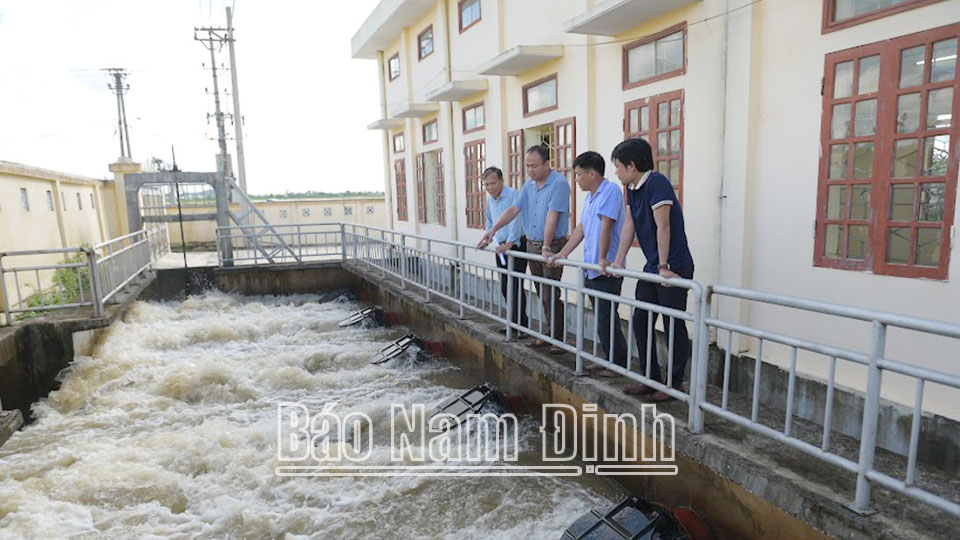 Nỗ lực tiêu úng nhanh, cứu lúa, bảo vệ sản xuất vụ mùa 