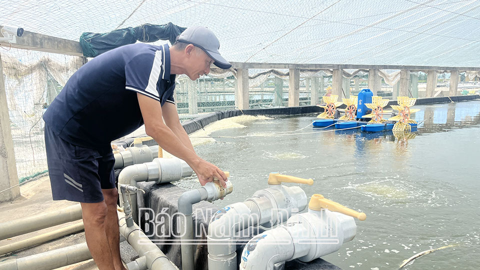 Bảo đảm an toàn vùng nuôi thủy sản trong mùa mưa bão