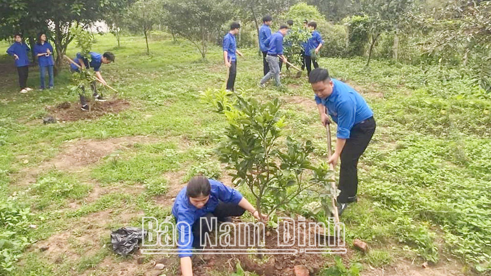 Đoàn Thanh niên xã Yên Phong tham gia trồng cây bảo vệ môi trường.