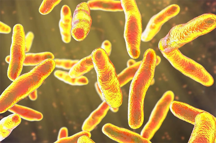 Nhóm nghiên cứu Đại học Đông Bắc Trung Quốc cho biết băng cứu thương thông minh có thể phát hiện và xác định các bệnh nhiễm trùng da do vi khuẩn, cũng như đưa ra phương pháp điều trị thích hợp. (Ảnh minh họa: Shutterstock).
            