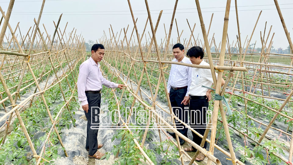 Dự án sản xuất rau công nghệ cao theo tiêu chuẩn VietGAP của Công ty Cổ phần Đầu tư và Phát triển nông nghiệp Ngân Hà Agri tại xã Trung Thành (Vụ Bản).