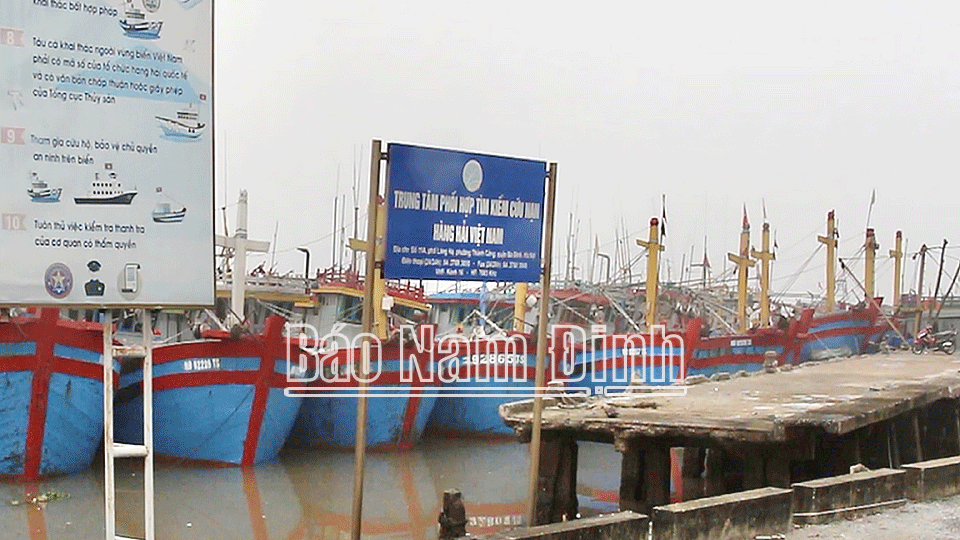 Tàu thuyền neo đậu tại Khu tránh trú bão cửa Ninh Cơ (Nghĩa Hưng)