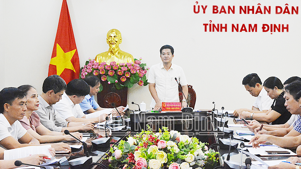 Đồng chí Phó Chủ tịch Thường trực UBND tỉnh Trần Anh Dũng phát biểu tại hội nghị. 
