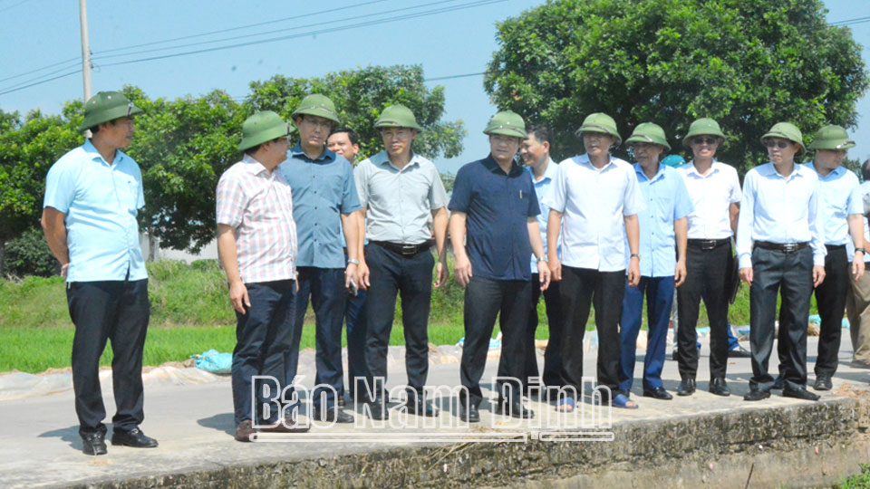 Đồng chí Trần Anh Dũng, Phó Chủ tịch Thường trực UBND tỉnh kiểm tra sản xuất và công tác khắc phục thiệt hại do mưa lớn gây ngập úng đầu vụ mùa năm 2024 tại xã Nghĩa Thái (Nghĩa Hưng). 