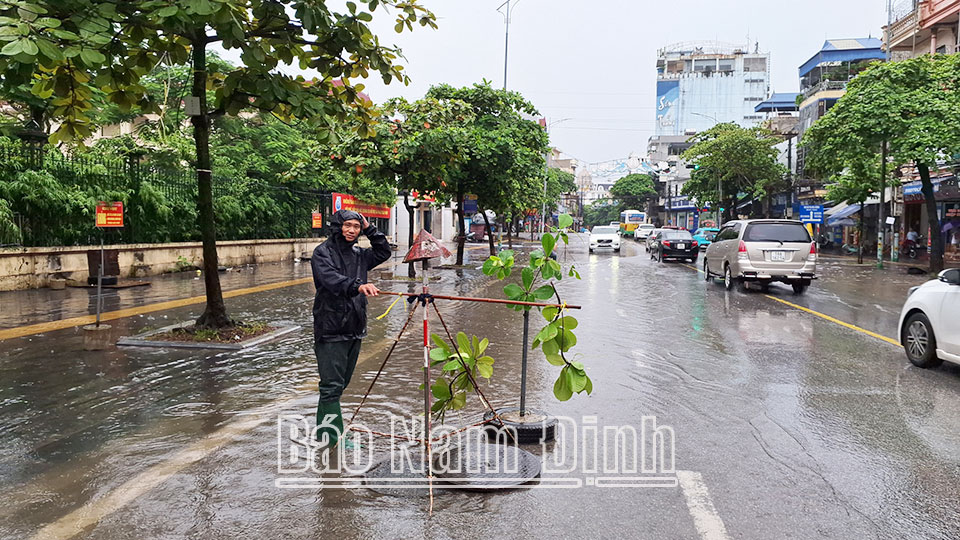 Công nhân Công ty Cổ phần Công trình đô thị Nam Định xử lý ngập cục bộ trên đường Trần Hưng Đạo trong đợt mưa lớn cuối tháng 7-2024.