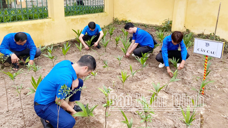 Huyện Đoàn Vụ Bản phối hợp với Đoàn Thanh niên xã Hợp Hưng chăm sóc cây trong Vườn ươm thanh niên.