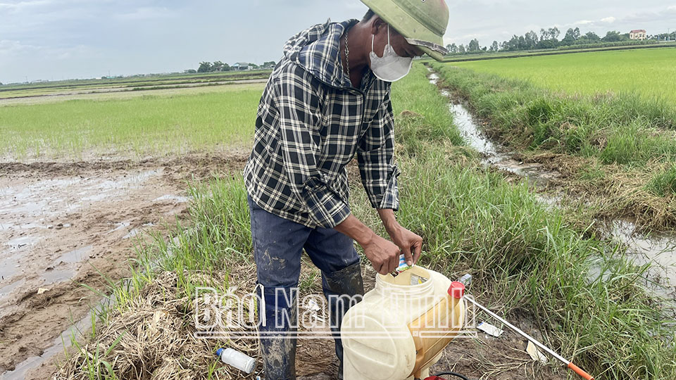 Nông dân xã Thành Lợi (Vụ Bản) chuẩn bị phun thuốc phòng trừ sâu bệnh, bảo vệ lúa mùa năm 2024.