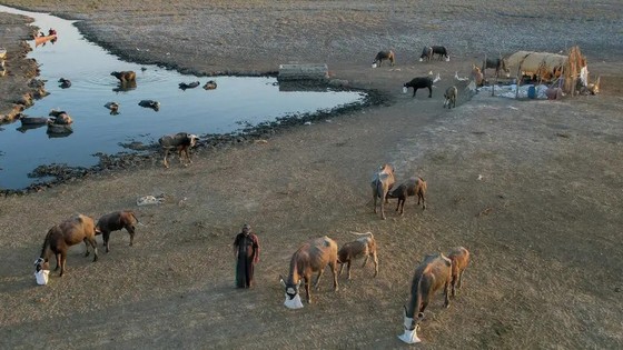 Hạn hán và xung đột ở Iraq, quốc gia nằm trong FCS, càng làm gia tăng tình trạng nghèo đói.
Ảnh: Internet