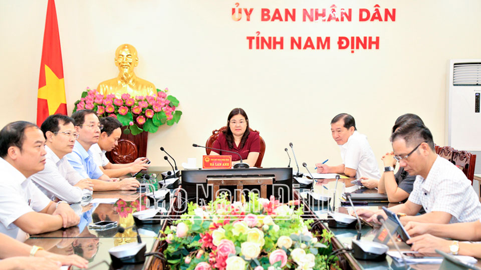 Đồng chí Hà Lan Anh, TUV, Phó Chủ tịch UBND tỉnh và các đại biểu dự hội nghị trực tuyến tại điểm cầu tỉnh Nam Định.