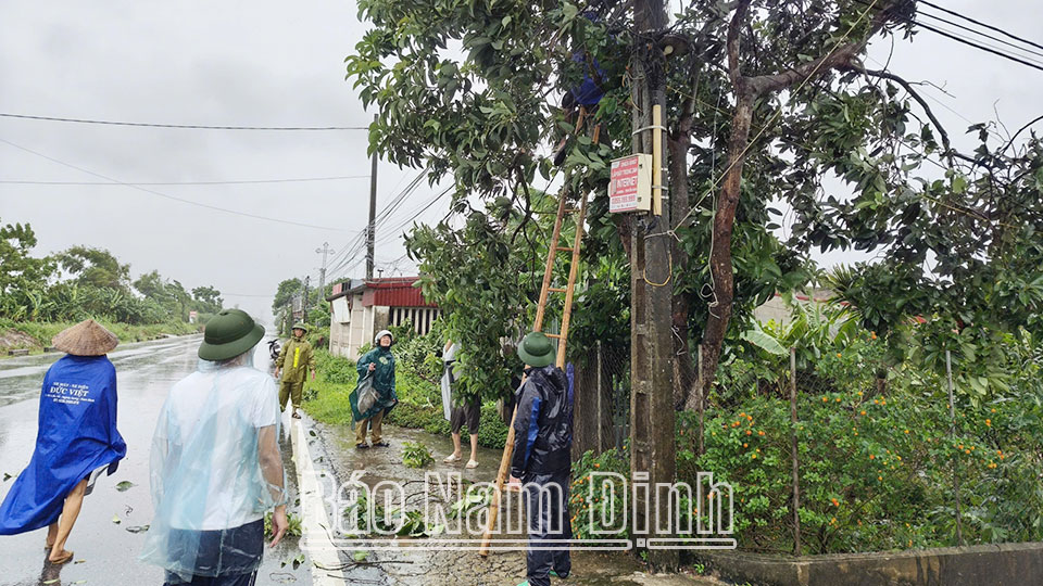 Bão số 3 gây thiệt hại ban đầu 230 ha rau màu của huyện Nghĩa Hưng