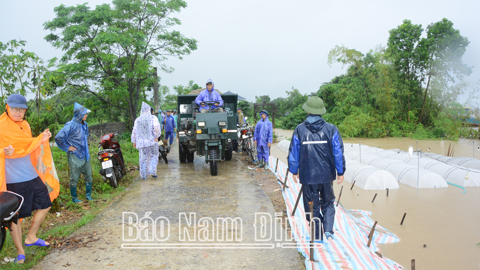 Ban Chỉ huy PCTT và TKCN xã Nam Phong (thành phố Nam Định) huy động tối đa nhân lực, phương tiện, để xử lý bảo vệ các tuyến đê bối trước mực nước lũ tiếp tục dâng cao.