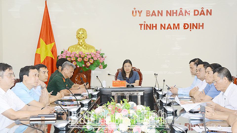 Đồng chí Hà Lan Anh, TUV, Phó Chủ tịch UBND tỉnh và các đại biểu tham dự hội nghị tại điểm cầu tỉnh Nam Định.