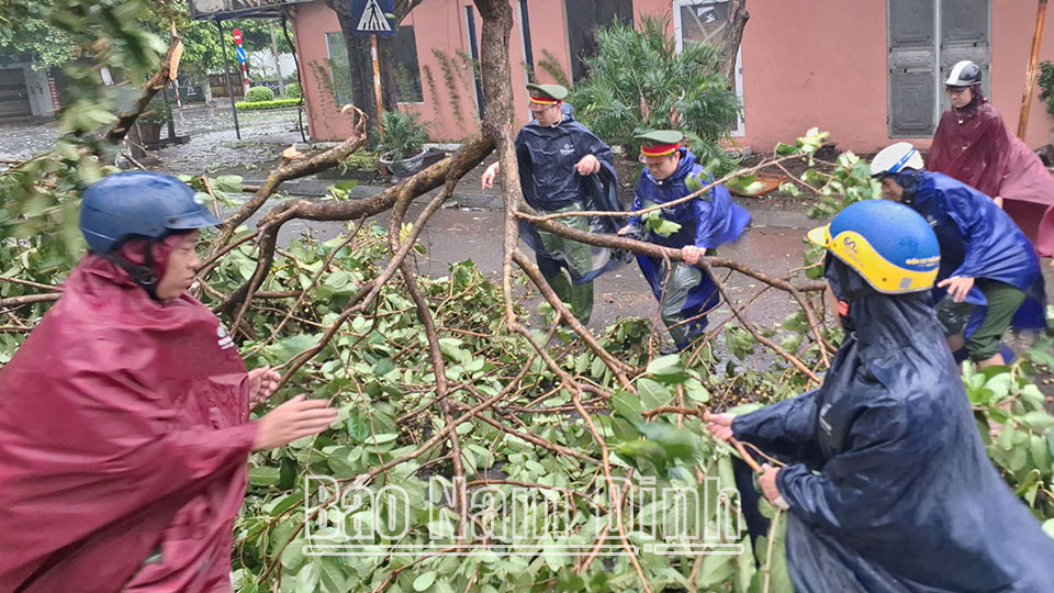  Các lực lượng chức năng Thành phố Nam Định khẩn trương xử lý cây xanh gãy, đổ do mưa bão. 