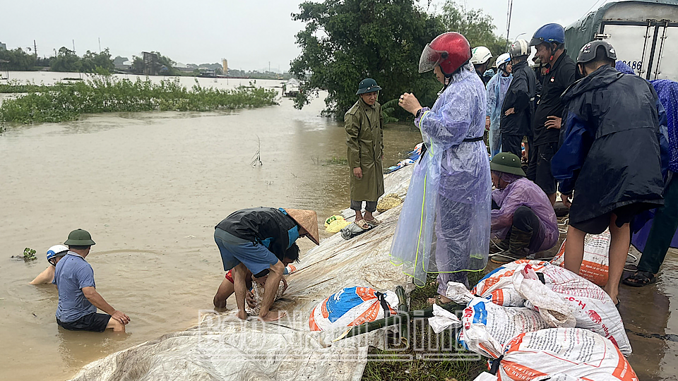 Lực lượng chức năng địa phương xử lý chống tràn trên tuyến đê bối Ngô Xá, xã Yên Khang. 

