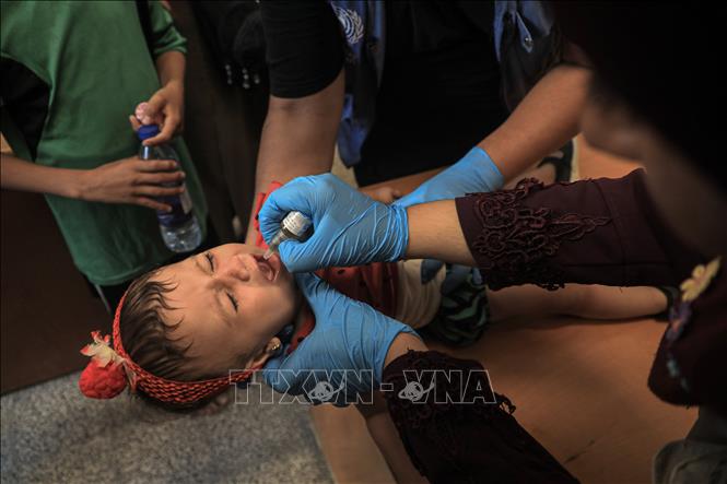 Xung đột Hamas-Israel: WHO xúc tiến tiêm vaccine bại liệt đợt mới cho trẻ em Gaza