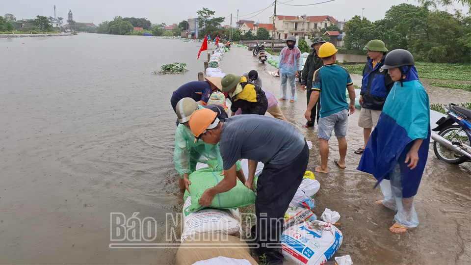 Đắp bao cát chống tràn tại Cống Trạm bơm sông Chanh, xã Yên Phúc