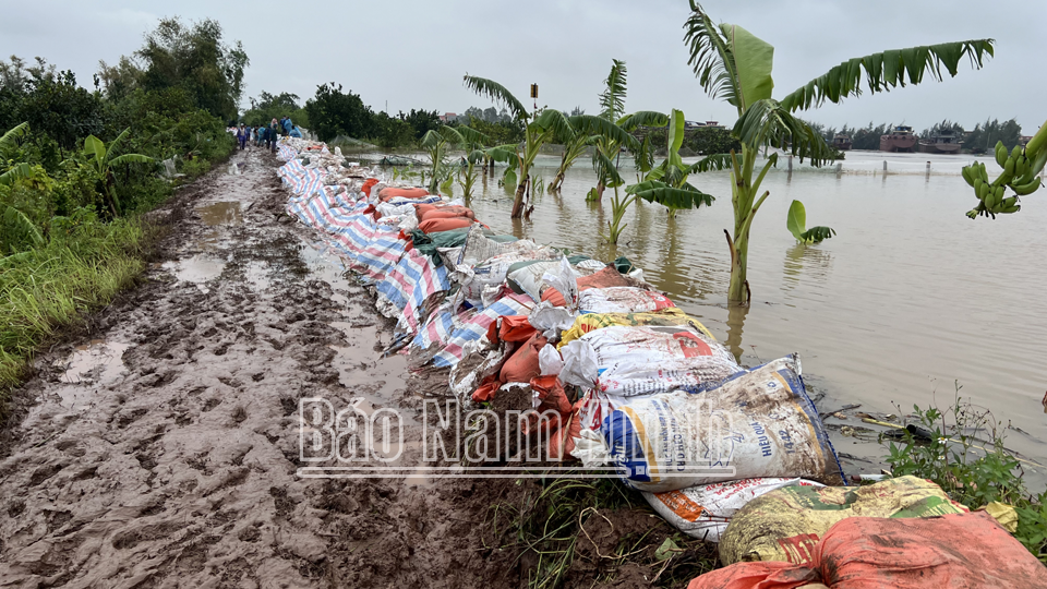 Đến 8 giờ 30 phút sáng sáng ngày 12/9 mực nước trên sông Ninh Cơ là 3,59m, thấp hơn 11cm so với đỉnh lũ ngày 11/9. 
