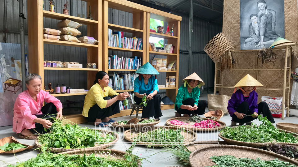 Sản xuất thực phẩm hữu cơ tại Công ty GBA Nature xã Thọ Nghiệp (Xuân Trường).