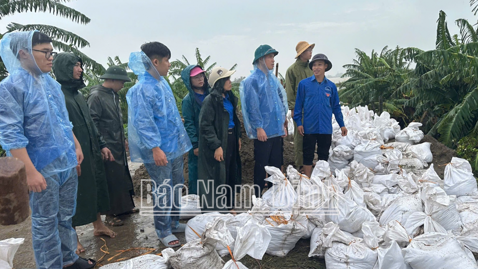 Lãnh đạo Tỉnh Đoàn thăm, động viên thanh niên tham gia thực hiện nhiệm vụ tại khu vực Đê bối xóm Sa Trung, xã Thành Lợi (Vụ Bản).
