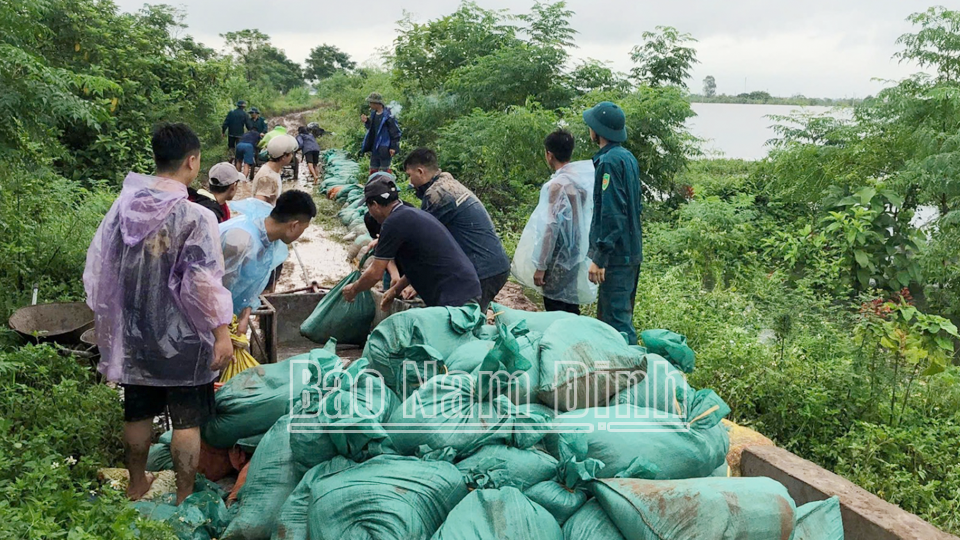 Lực lượng đoàn viên, thanh niên tham gia hỗ trợ khắc phục sự cố tràn đê
