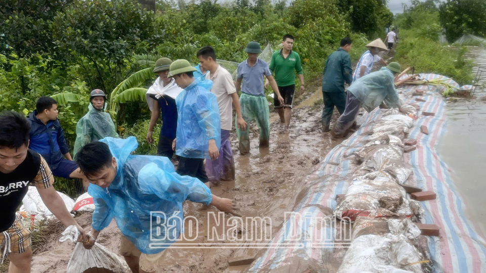 Thanh niên xung kích huyện Trực Ninh tham gia hỗ trợ đắp đê cùng người dân.

