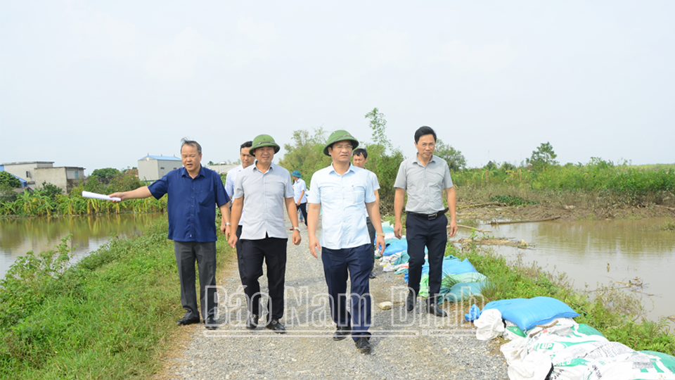 Đồng chí Phó Chủ tịch Thường trực UBND tỉnh Trần Anh Dũng kiểm tra tuyến đê bối Phương Định (Trực Ninh). 

