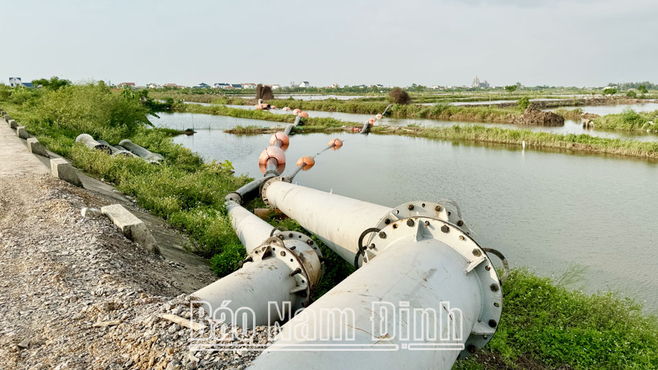 Khởi động thi công Nhà máy sản xuất cấu kiện bê tông đúc sẵn của Tập đoàn Xuân Thiện: Thành quả từ nỗ lực giải phóng mặt bằng