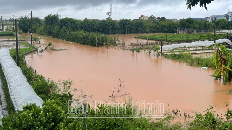 Tình trạng ngập úng tại xã Mỹ Tân (thành phố Nam Định)