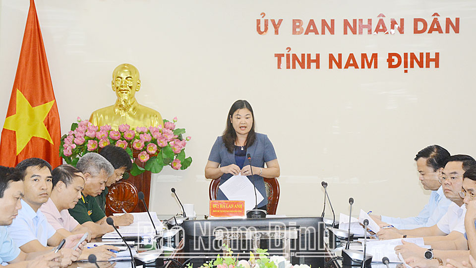 Đồng chí Hà Lan Anh, TUV, Phó Chủ tịch UBND tỉnh phát biểu tại hội nghị. 