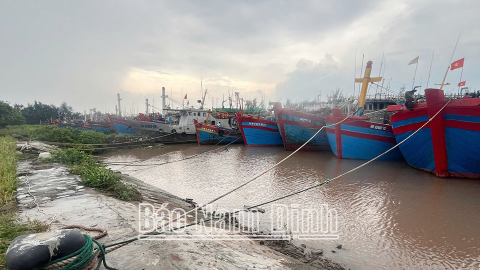 Đồng chí Phó Chủ tịch UBND tỉnh Hà Lan Anh kiểm tra, chỉ đạo chống bão số 3 tại huyện Hải Hậu 