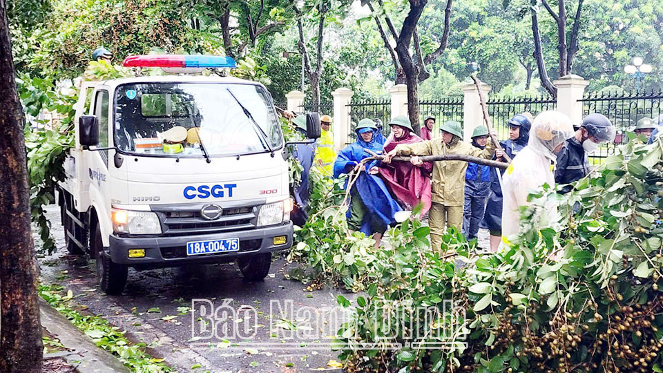 Công an thành phố Nam Định tham gia dọn dẹp cây bị đổ. 