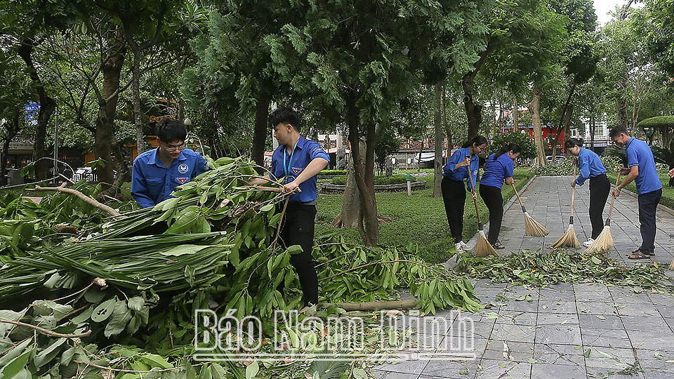 Đoàn Thanh niên phường Trần Hưng Đạo, thành phố Nam Định tình nguyện thu dọn cây đổ sau bão. 