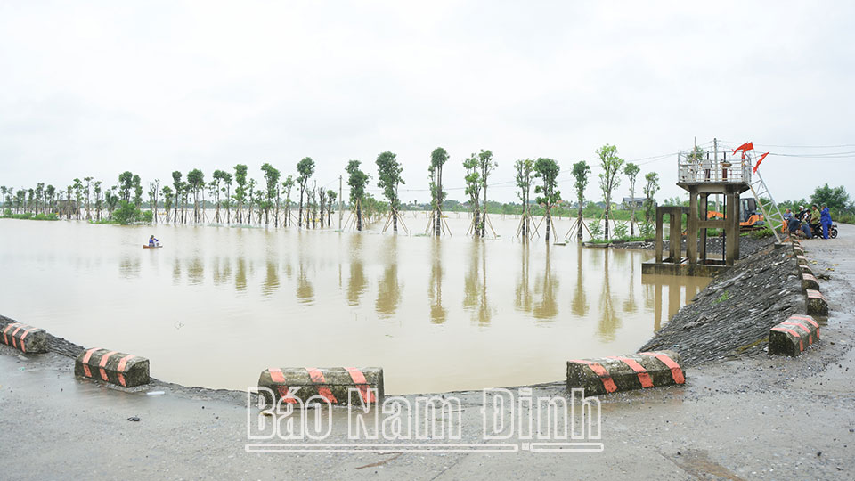 Trọng điểm Cống Lác thuộc địa bàn xã Đại Thắng (Vụ Bản) vẫn được bảo vệ an toàn.