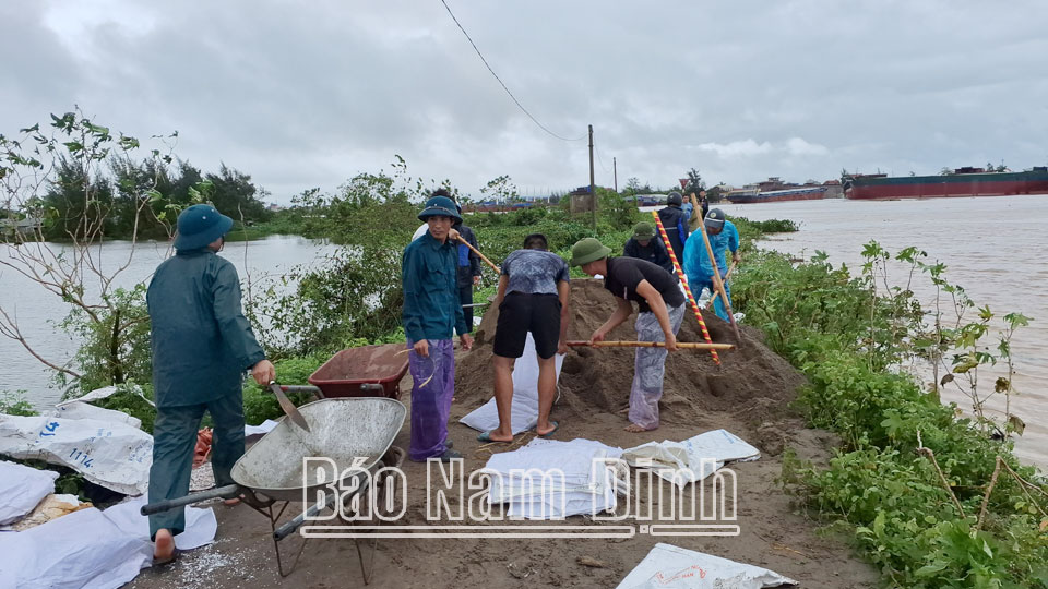 Lực lượng tại chỗ huyện Trực Ninh đắp bao cát chống tràn bảo vệ bối Phương Định