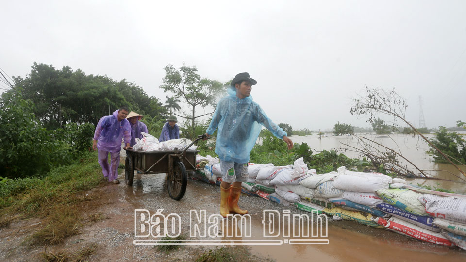 Xã Mỹ Tân huy động tối đa các phương tiện, máy móc, vật tư đảm bảo công tác phòng, chống tràn đê bối. Dt6