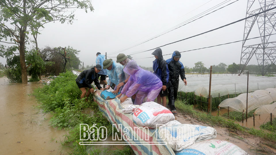 Các bao tải cát được các lực lượng tổ chức đắp chống tràn. 