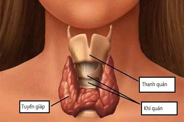 Kểm tra sức khỏe định kỳ để phát hiện sớm suy giáp.