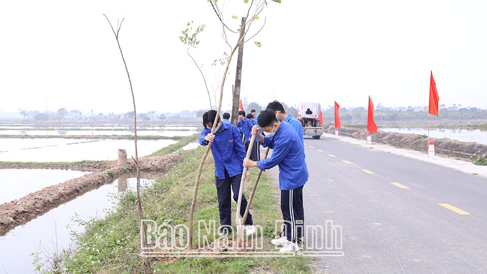 Đoàn Thanh niên xã Mỹ Hà (thành phố Nam Định) trồng hàng cây thanh niên tại thôn Bảo Long.