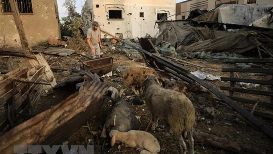 Những ngôi nhà bị phá hủy sau cuộc không kích của Israel xuống thành phố Khan Younis ở Dải Gaza, ngày 23/10/2023. (Ảnh: THX/TTXVN)
