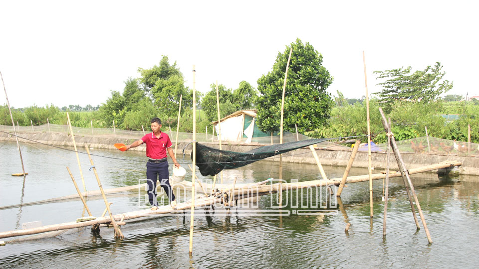 Nông dân Trực Ninh
thi đua sản xuất, kinh doanh giỏi