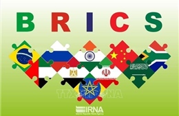 Nga kêu gọi BRICS tìm giải pháp thay thế cho IMF